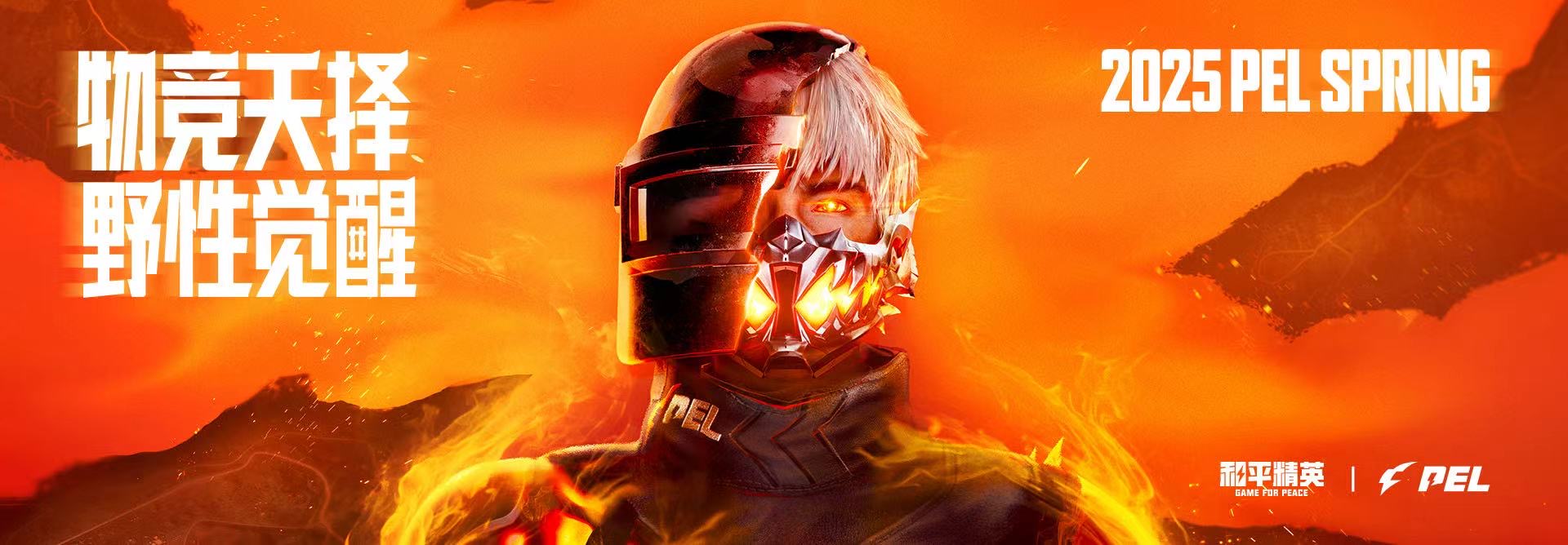 和平精英模拟器《鸡腿》外挂支持观战透视